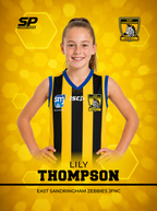 East Sandringham Zebbies Photo Packs 2026
