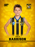 East Sandringham Zebbies Photo Packs 2026
